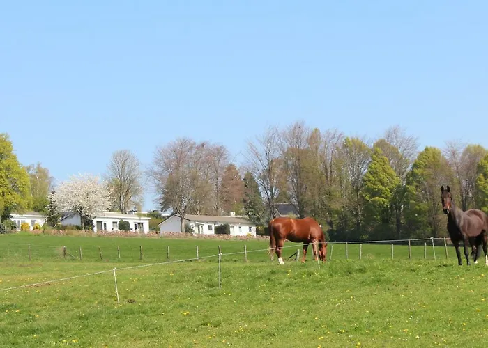 Domein Hellebeuk Met Uitzicht! Valkenburg/klimmen *