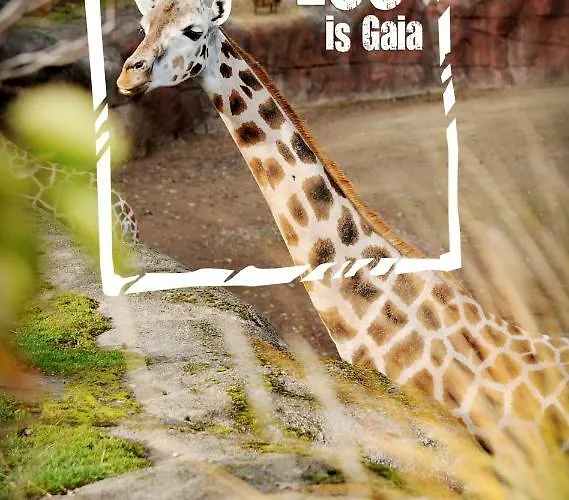 Сasa de vacaciones Domein Hellebeuk Met Uitzicht! Valkenburg/klimmen *