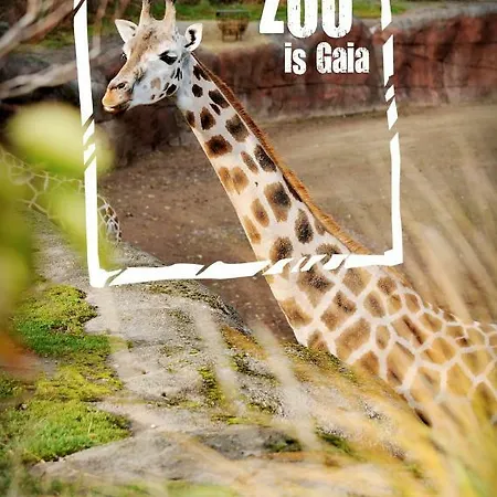 Casa de Férias Domein Hellebeuk Met Uitzicht! Valkenburg/klimmen *